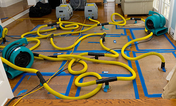 Professional Crawl Space Water Removal technician working in Wesley, ME