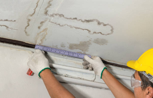 Affordable Water Damage Repair solutions in Wesley, ME